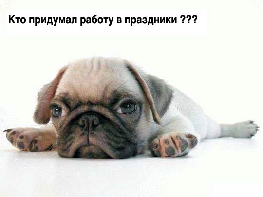 Кто придумал работать в праздники ???
