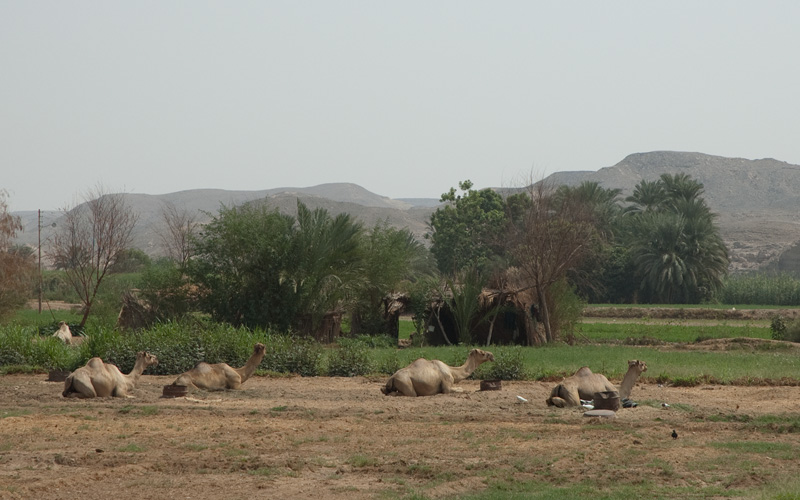 Edfu