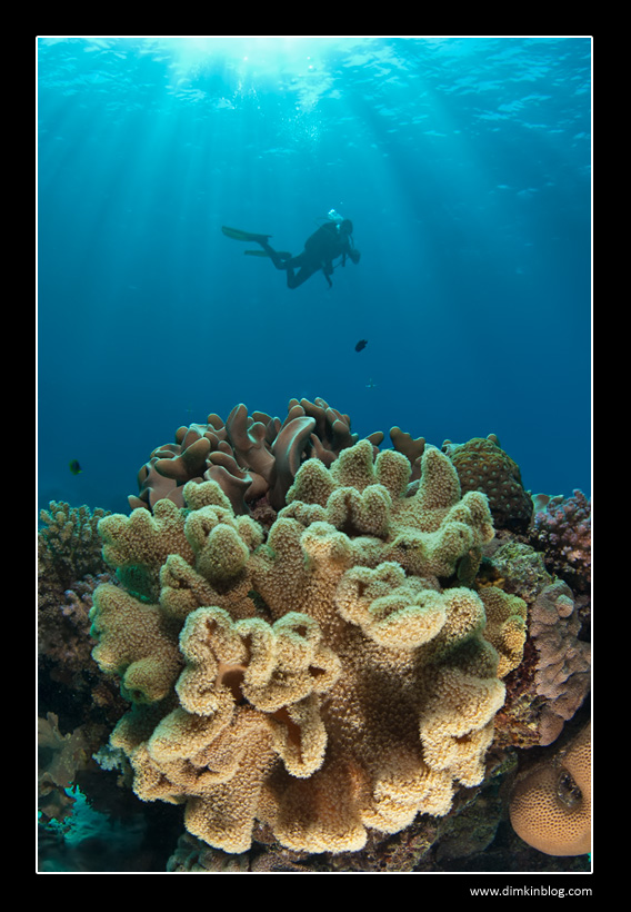 Красное Море