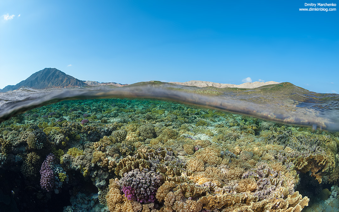 Красное море. Сплит.