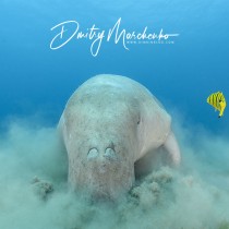 Dugong – Underwater Vacuum Cleaner